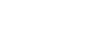 Microsoft Gold Certified Partner Logo